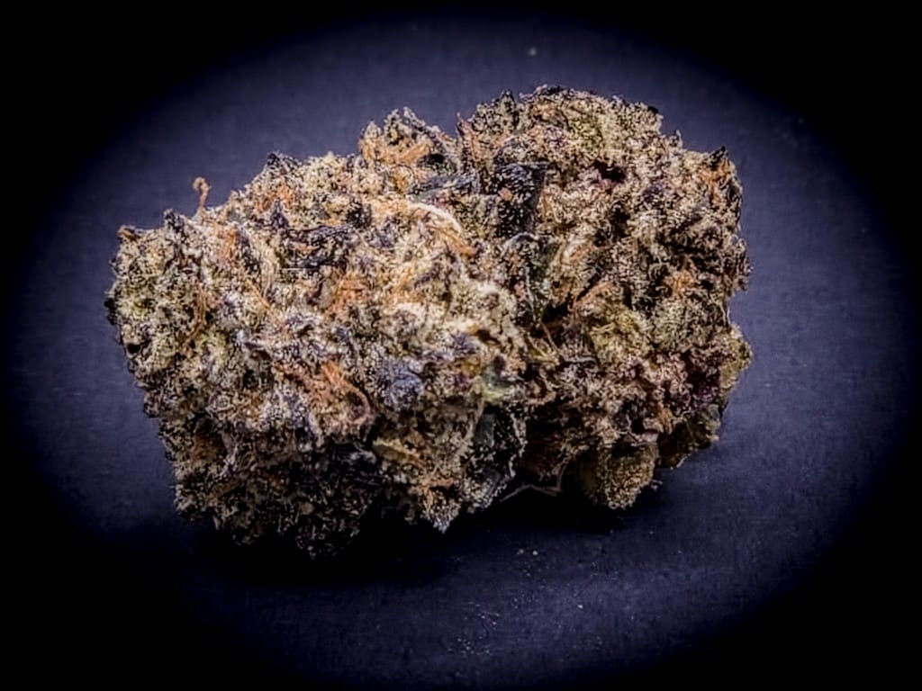 Area 51 cannabis flower