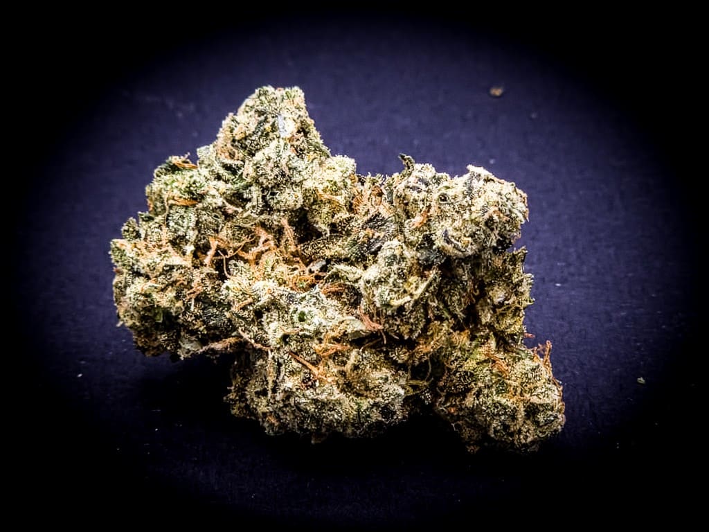Cosmic Cookies cannabis flower