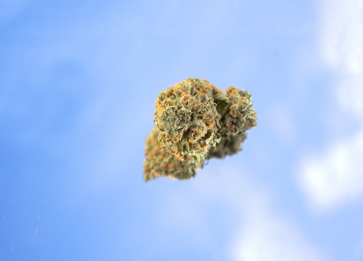 Artist Series limited cannabis flower packaging